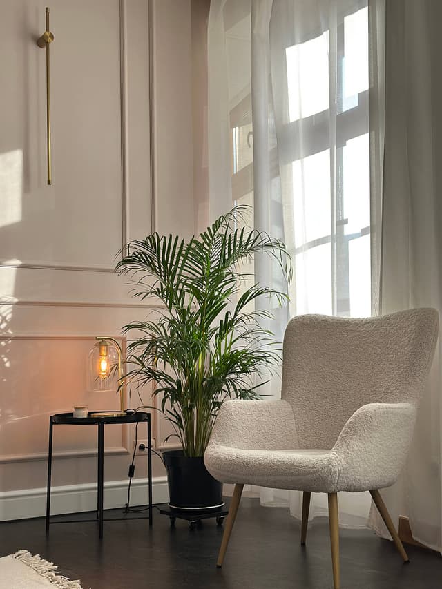 white-room
